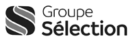 logo_selection
