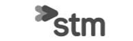 logo_stm